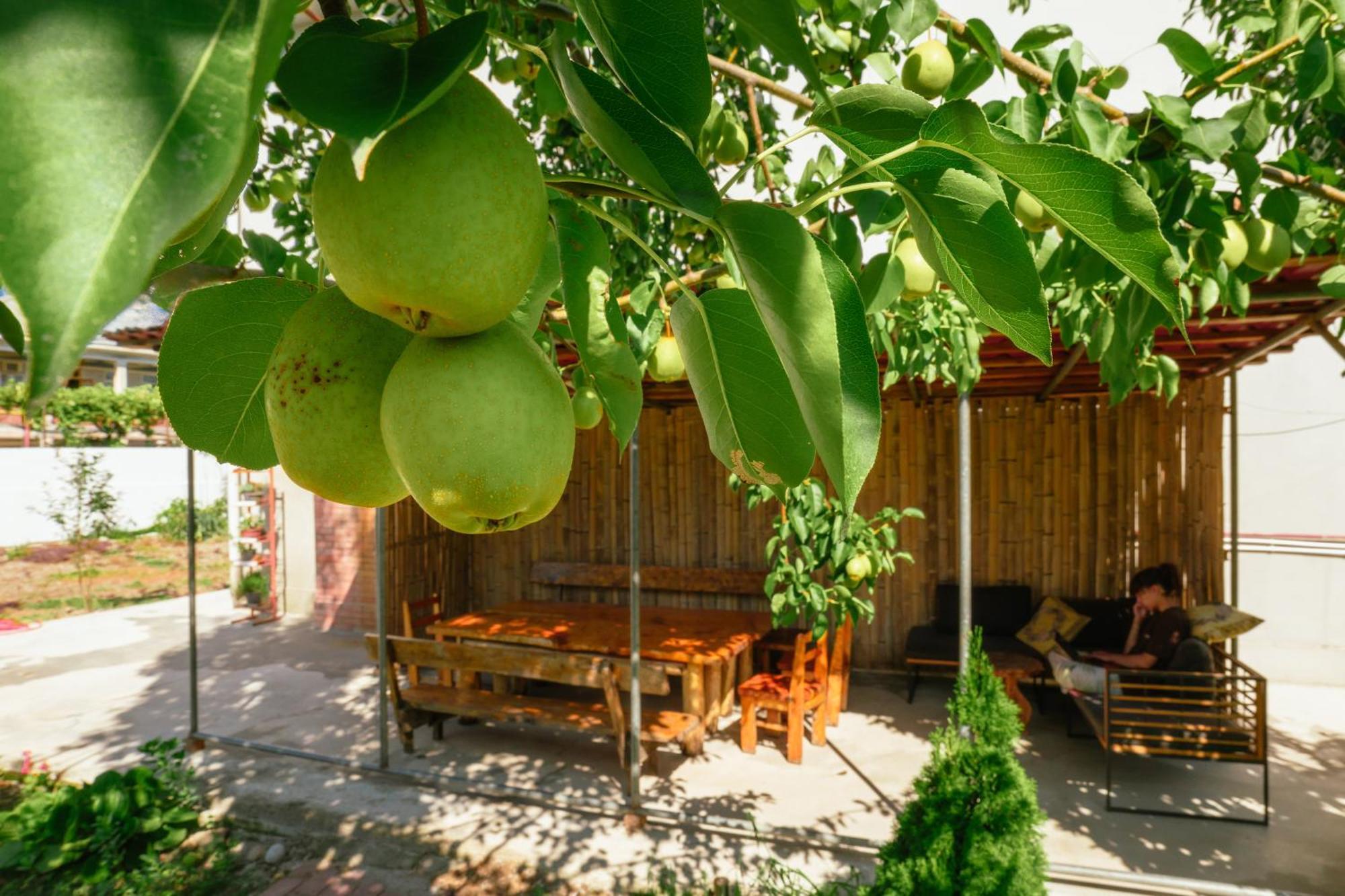 Senima'S Paradise Batumi Exterior photo